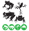 Frog vector image