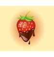 Strawberry with chocolate vector image