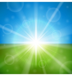 Bright summer sun vector image