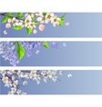Set of blossoming branches vector image