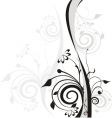 Floral pattern vector image