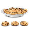 Cookies on a plate vector image