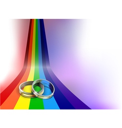 Gay wedding rings vector image