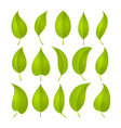 green leaves set vector image