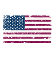 American flag vector image