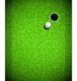 Playing Golf vector image