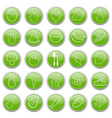 Food buttons vector image