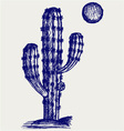 Cactus in desert vector image