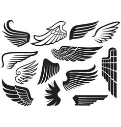Wings collection vector image