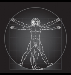 Vitruvian man vector image