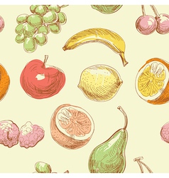 Hand drawn fruits vector image