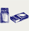 Box of matches vector image