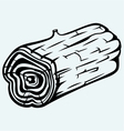 Cross section of tree stump vector image