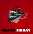 Background on Black Friday vector image