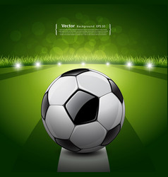 Soccer ball on green grass background vector image