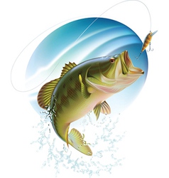 Largemouth bass catching a bite Largemouth bass catching a bite vector image