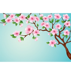 Blossoms tree vector image