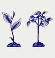 Handful of the ground and plant vector image