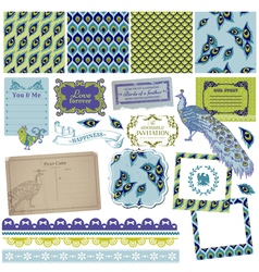 Design Elements - Vintage Peacock Feathers vector image