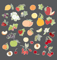Set of of fruits and berries Set of of fruits and berries vector image
