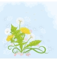 Flowers dandelions vector image