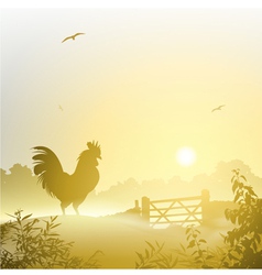 Cockerel Rooster vector image