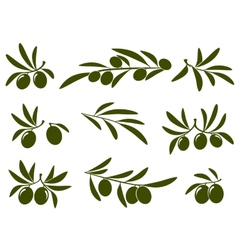 Olive branch set vector image