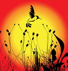 Birds and flowers vector image