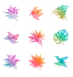 Nature elements vector image