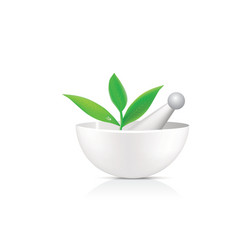 Mortar with herbs vector image
