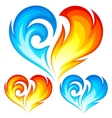 Fire and Ice heart vector image