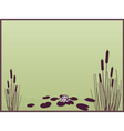 Lily and cattails background vector image