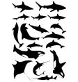 Underwater animals vector image
