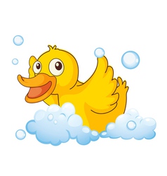 A bird vector image
