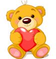 Bear with heart vector image