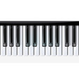 Vector keys piano music vector image