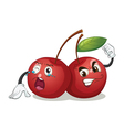 Berries vector image