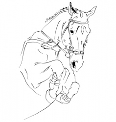 Horse jumps vector image