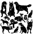 Dog with details Dog with details vector image