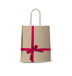Empty shopping brown bag vector image