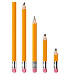 Pencils different lengths v vector image