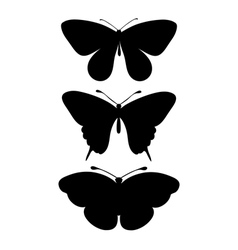 Set of black silhouettes of butterflies vector image