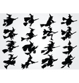 Witches vector image