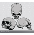 Vintage skulls set vector image
