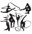 Gymnasts vector image