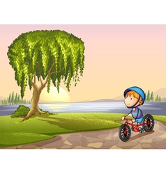 Boy in park vector image
