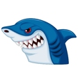 Shark head mascot cartoon vector image