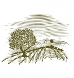 Woodcut farm scene vector image