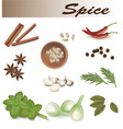 Group of spices vector vector image