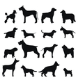 Dog breed black silhouette vector image